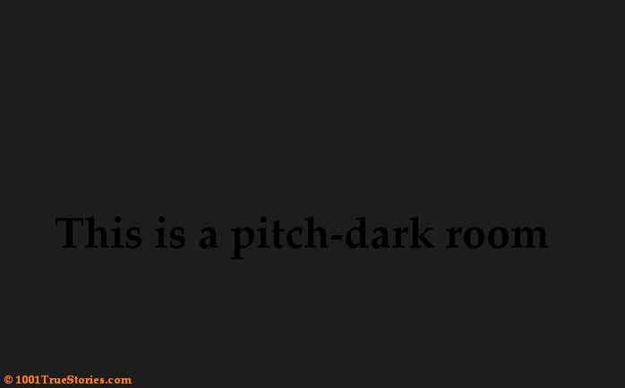 The pilot subject to this pilots farce, the one who fell asleep, woke up and suddenly saw this darkness around him